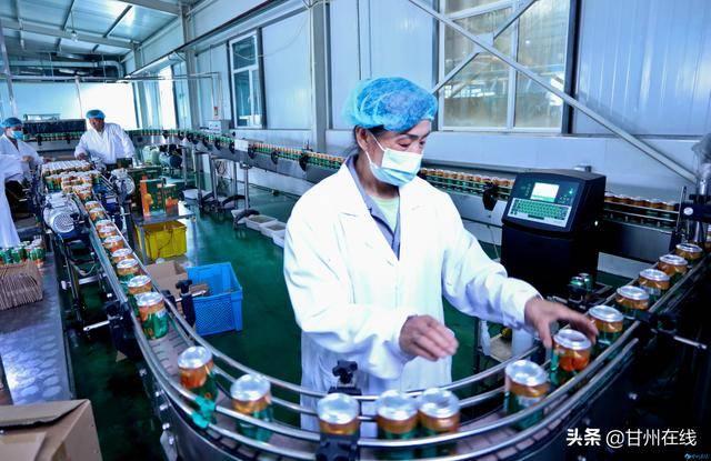 2021年6月18日,甘肃张掖金满园农业科技生产基地包装车间生产线上